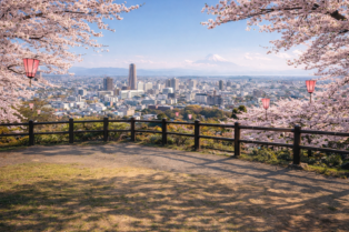 浜松城公園　展望広場